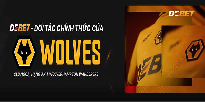 Miễn trừ trách nhiệm của Debet- Những điều cần nắm rõ. 1 Những điểm cần chú ý về miễn trừ trách nhiệm tại Debet?